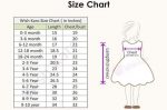 DESIGNER-SOFT-NET-COTTON-BABY-FROCK-PARTY-WEAR-WHOLESALE-PRICE-ETHNIC-GARMENT-2.jpeg