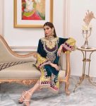 DESIGNER-VELVET-CHAIN-STITCH-WORK-TOP-BOTTOM-WITH-DUPATTA-PARTY-WEAR-WHOLESALE-PRICE-ETHNIC-GARMENT-3.jpeg