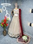 FASHIONABLE-ORGANZA-CRUSHED-MOONLIGHT-METALLIC-KNIT-PLEATED-LEHENGA-CHOLI-WITH-DUPATTA-WEDDING-WEAR-WHOLESALE-PRICE-ETHNIC-GARMENT-61.jpeg