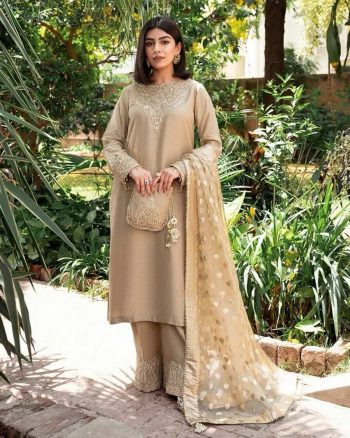 NEW ARRIVAL GEORGETTE EMBROIDERY LACE WORK TOP PALAZZO WITH DUPATTA CHIKU