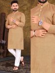 Treaditional-Kurta-Pyjama-Pure-Cotton-Festival-Wear-Ethnic-GArment-6.jpg