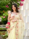 DESIGNER-GEORGETTE-EMBROIDERY-CUT-WORK-BORDER-SAREE-WITH-SATIN-BANGLORY-BLOUSE-FESTIVE-WEAR-WHOLESALE-PRICE-ETHNIC-GARMENT-8.jpg