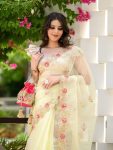 DESIGNER-GEORGETTE-EMBROIDERY-CUT-WORK-BORDER-SAREE-WITH-SATIN-BANGLORY-BLOUSE-FESTIVE-WEAR-WHOLESALE-PRICE-ETHNIC-GARMENT-8.jpg