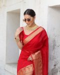 DESIGNER-ORGANZA-ZARI-WORK-SAREE-WITH-UNSTITCHED-BLOUSE-PARTY-WEAR-WHOLESALE-PRICE-ETHNIC-GARMENT-5.jpeg