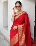 DESIGNER-ORGANZA-ZARI-WORK-SAREE-WITH-UNSTITCHED-BLOUSE-PARTY-WEAR-WHOLESALE-PRICE-ETHNIC-GARMENT-5.jpeg