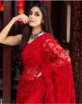 DESIGNER-SUPER-NET-EMBROIDERY-WORK-SAREE-WITH-BLOUSE-PARTY-WEAR-WHOLESALE-PRICE-ETHNIC-GARMENT-6.jpeg