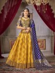 FANCY JACQUARD SILK WEAVING WORK LEHENGA CHOLI WITH DUPATTA PARTY WEAR WHOLESALE PRICE ETHNIC GARMENT (2)