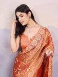 ATTRACTIVE BURBERRY SILK EMBROIDERY SEQUENCE WORK SAREE WITH UNSTITCHED BLOUSE PARTY WEAR WHOLESALE PRICE ETHNIC GARMENT (13)