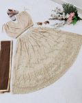 ATTRACTIVE GEORGETTE EMBROIDERY SEQUENCE WITH CRUSH WORK KIDS LEHENGA CHOLI WITH DUPATTA PARTY WEAR WHOLESALE PRICE ETHNIC GARMENT (4)