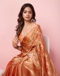 DESIGNER BURBERRY SILK SEQUENCE EMBROIDERY WITH CUT WORK SAREE WITH UNSTITCHED BLOUSE PARTY WEAR WHOLESALE PRICE ETHNIC GARMENT (14)