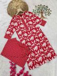 DESIGNER COTTON BLEND DIGITAL PRINT WORK TOP PANT SET CASUAL WEAR WHOLESALE PRICE ETHNIC GARMENT (3)