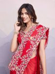 TREANDING RANGOLI SILK EMBROIDERY WORK SAREE WITH UNSTITCHED BLOUSE PARTY WEAR WHOLESALE PRICE ETHNIC GARMENT (5)