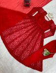 ATTRACTIVE BUTTERFLY NET THREAD SEQUENCE WORK GOWN BOTTOM WITH DUPATTA FESTIVAL WEAR WHOLESALE PRICE ETHNICGARMENT (3)