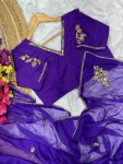 DESIGNER ORGANZA SILK SEQUENCE CUTDANA HAND WORK SAREE WITH STITCHED BLOUSE PARTY WHOLESALE PRICE ETHNIC GARMENT (1)