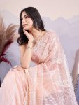 DESIGNER TWILL NET EMBROIDERY SEQUENCE WORK SAREE WITH UNSTITCHED BLOUSE FESVIVAL WEAR WHOLESALE PRICE ETHNIC GARMENT (9)