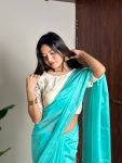 RICH LOOK ORGANZA SILK HAND PEARL CUT WORK SAREE WITH UNSTITCHED BLOUSE PARTY WEAR WHOLESALE PRICE ETHNIC GRAMENT (12)