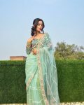 6TRENDING BUTTERFLY NET EMBROIDERY SEQUENCE PEARL MOTI WORK SAREE WITH STITCHED BLOUSE PARTY WEAR WHOLESALE PRICE ETHNIC GARMENT (24)