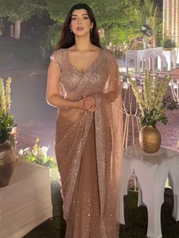FANCY NET SEQUENCE WORK SAREE WITH UNSTITCHED BLOUSE CHIKU