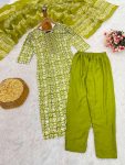 FASHIONABLE RAYON PRINTED EMBROIDERY WORK TOP BOTTOM WITH DUPATTA PARTY WEAR WHOLESALE PRICE ETHNIC GARMENT (18)