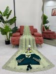TRENDING CRUNCHY SILK EMBROIDREY SEQUENCE WORK SAREE WITH UNSTITCHED BLOUSE PARTY WEAR WHOLESALE PRICE ETHNIC GARMENT (7)
