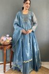 1LATEST TWILL NET TISSUE SILK CUT DANA HAND WORK GOWN WITH DUPATTA FESTIVE WEAR WHOLESALE PRICE ETHNIC GARMENT (20)