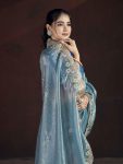 3DESIGNER GOLD CRUNCHY EMBROIDERED WORK OF MULTI THREAD SEQUENCE WITH CUTWORK BORDER SAREE WITH UNSTITCHED BLOUSE FESTIVE WEAR WHOLESALE PRICE ETHNIC GARMENT(58)