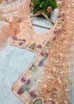 4FANCY BUTTERFLY NET EMBROIDERY MULTI THREAD CHAIN STITCH WORK SAREE WITH UNSTITCHED BLOUSE PARTY WEAR WHOLESALE PRICE ETHNIC GARMENT (25)