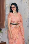 4FANCY BUTTERFLY NET EMBROIDERY MULTI THREAD CHAIN STITCH WORK SAREE WITH UNSTITCHED BLOUSE PARTY WEAR WHOLESALE PRICE ETHNIC GARMENT (25)