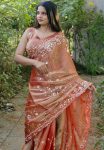 DESIGNER BURBERRY SILK EMBROIDERY DUBLE SEQUENCE CONTRAST PALLU WORK SAREE WITH UNSTITCHED BLOUSE PARTY WEAR WHOLESALE PRICE ETHNIC GARMENT (12)