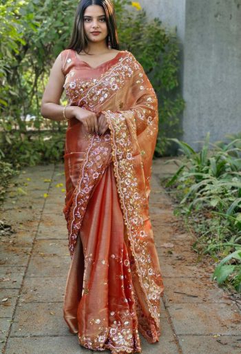 DESIGNER BURBERRY SILK EMBROIDERY DUBLE SEQUENCE CONTRAST PALLU WORK SAREE WITH UNSTITCHED BLOUSE CHIKU