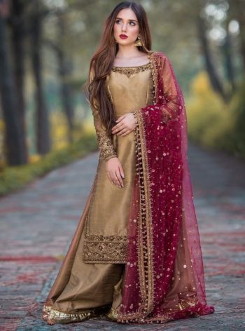 DESIGNER CHINON SILK EMBROIDERY SEQUENCE WORK TOP PALAZZO WITH DUPATTA  CHIKU