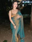 DESIGNER CRUSH CUT DANA MOTI LACE BORDER WORK SAREE WITH UNSTITCHED BLOUSE PARTY WEAR WHOLESALE PRICE ETHNIC GARMENT (2)