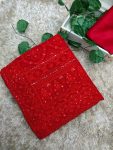 DESIGNER GEORGETTE CHIKANKARI WORK AND PIPING LACE BORDER SAREE WITH UNSTITCHED BLOUSE FESTIVE WEAR WHOLESALE PRICE ETHNIC GARMENT (2)