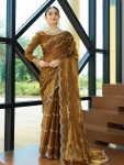 DESIGNER JIMMY CHOO EMBROIDERY SEQUENCE WORK SAREE WITH UNSTITCHED BLOUSE CHIKU