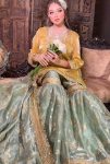 FANCY JIMMY CHOO EMBROIDERY SEQUENCE WORK AND WEAVING PATTA IN BORDER TOP SHARARA WITH DUPATTA FESTIVE WEAR WHOLESALE PRICE ETHNIC GARMENT (3)