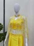 NEW ARRIVAL CREPE PLAIN TUBE TOP PLEATED DHOTI WITH NET DESIGNER KOTI PARTY WEAR WHOLESALE PRICE ETHNIC GARMENT (3)