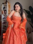 RICH LOOK JACQUARD SILK WEAVING WITH LACE BORDER GOWN BOTTOM WITH DUPATTA PARTY WEAR WHOLESALE PRICE ETHNIC GARMENT (3)