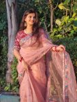 FASHIONABLE ORGANZA SEQUENCE EMBROIDERY LACE WORK SAREE WITH UNSTITCHED BLOUSE PARTY WEAR WHOLESALE PRICE ETHNIC GARMENT (6)