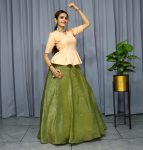 NEW ARRIVAL PALIN LEHENGA WITH STITCHED TOP FESTIVE WEAR WHOLESALE PRICE ETHNIC GARMENT (1)