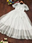 TRENDING TISSUE SILK WEAVING SILVER PATTA WORK ONLY GOWN PARTY WEAR WHOLESALE PRICE ETHNIC GARMENT (1)