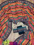 DESIGNER GEORGETTE DIGITAL PRINTED LACE WORK SAREE WITH UNSTITCHED BLOUSE PARTY WEAR WHOLESALE PRICE ETHNIC GARMENT (2)