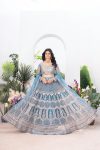 DESIGNER NET EMBROIDERY SEQUENCE WORK LEHENGA CHOLI WITH DUPATTA PARTY WEAR WHOLESALE PRICE ETHNIC GARMENT (3)