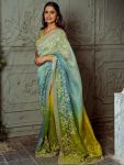 DESIGNER ORGANZA SILK EMBROIDERY PANEL WORK AND CUT BORDER WORK SAREE WITH UNSTITCHED BLOUSE PARTY WEAR WHOLESALE PRICE ETHNIC GARMENT (3)