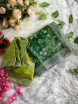 DESIGNER ORGANZA SILK EMBROIDERY PANEL WORK AND CUT BORDER WORK SAREE WITH UNSTITCHED BLOUSE PARTY WEAR WHOLESALE PRICE ETHNIC GARMENT (3)