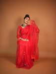 FANCY NET SEQUENCE THREAD JHALAR LACE WORK SAREE WITH UNSTITCHED BLOUSE PARTY WEAR WHOLESALE PRICE ETHNIC GARMENT (3)