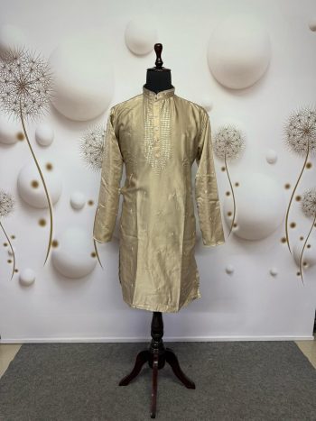 TRADITIONAL VISCOSE SILK EMBROIDERY SEQUENCE WORK MEN'S KURTA WITH PAYJAMA CHIKU