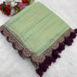 TRENDING TISSUE NET EMBROIDERY BORDER WORK SAREE WITH UNSTITCHED BLOUSE PARTY WEAR WHOLESALE PRICE ETHNIC GARMENT 1 (1)