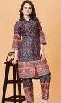 NEW ARRIVAL SLUB COTTON PRINT WORK CO-ORD SET  MULTI