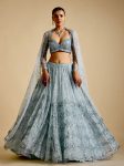 DESIGNER NET SEQUENCE WORK LEHENGA CHOLI WITH DUPATTA  SKY