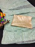 FANCY GEORGETTE SEQUENCE EMBROIDERY PIPING BORDER WORK SAREE WITH UNSTITCHED BLOUSE PARTY WEAR WHOLESALE PRICE ETHNIC GARMENT (3)